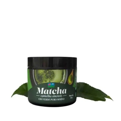 Matcha Camellia Sinensis